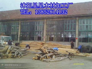 匠心獨運(yùn) 沭陽星星木材加工廠的楊木板材與木制品