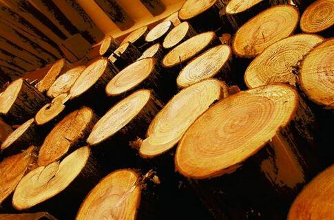 木立方浴室柜 精選木材，悅享尊貴品質生活